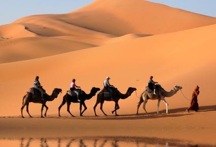 ما هي أهم النشاطات التي بإمكانك ممارستها في قطر؟